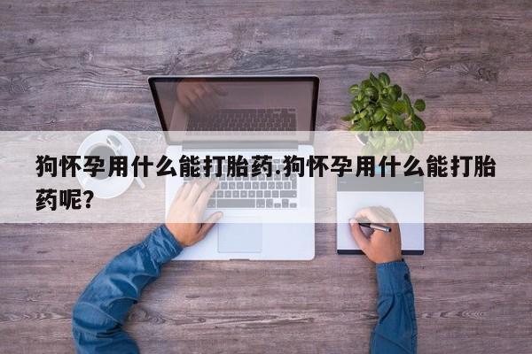 米非米索购买联系方式狗怀孕用什么能打胎药.狗怀孕用什么能打胎药呢？