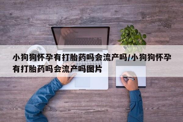 米非米索购买联系方式小狗狗怀孕有打胎药吗会流产吗/小狗狗怀孕有打胎药吗会流产吗图片