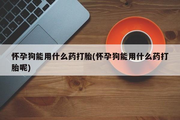 米非米索购买联系方式怀孕狗能用什么药打胎(怀孕狗能用什么药打胎呢)